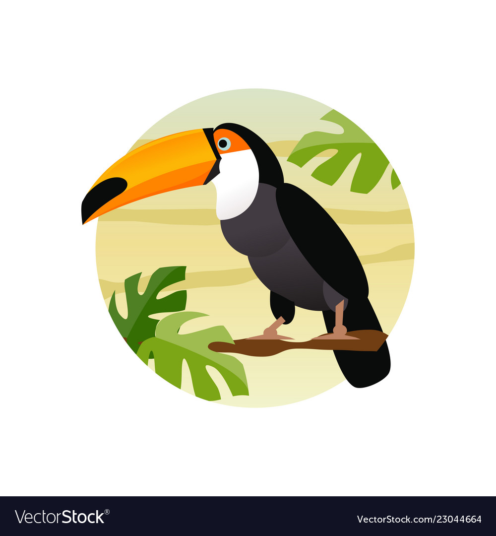 Toucan bird Royalty Free Vector Image - VectorStock