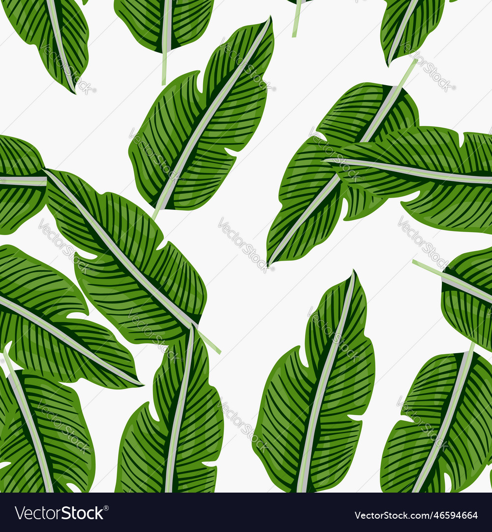 Tropical leaf seamless pattern exotic leaves Vector Image