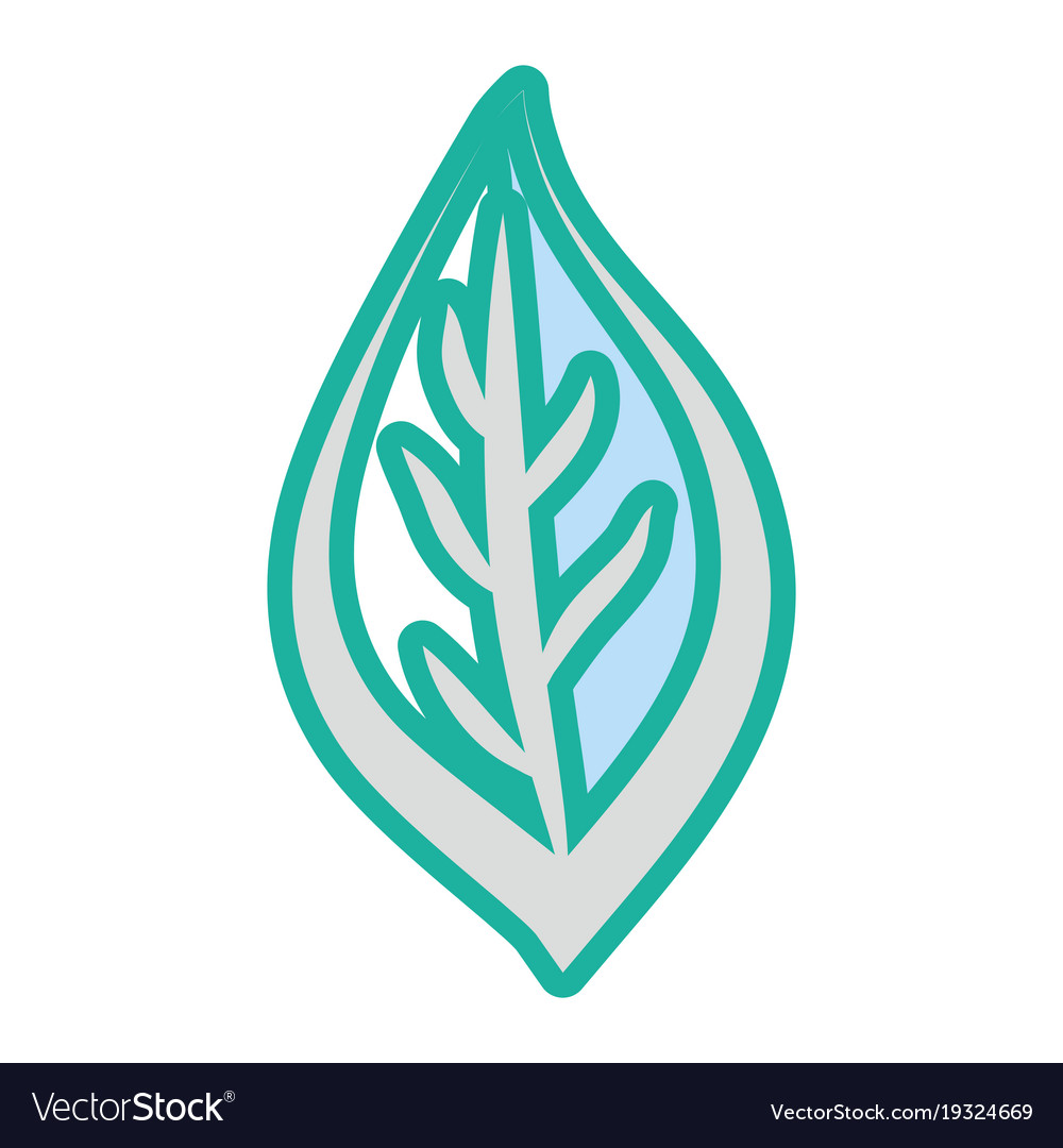 Leaf eco symbol cartoon