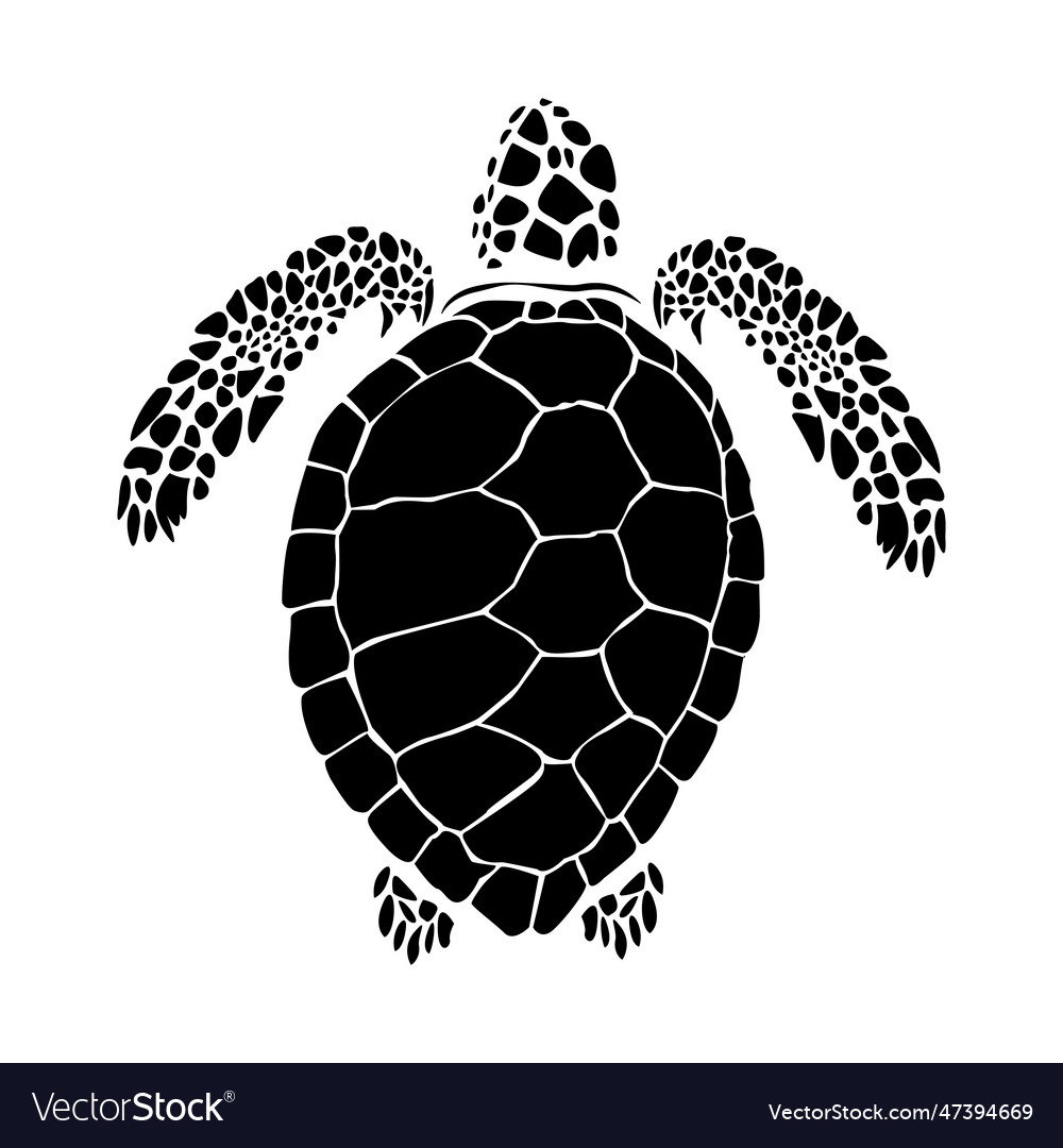 Turtle Royalty Free Vector Image - VectorStock