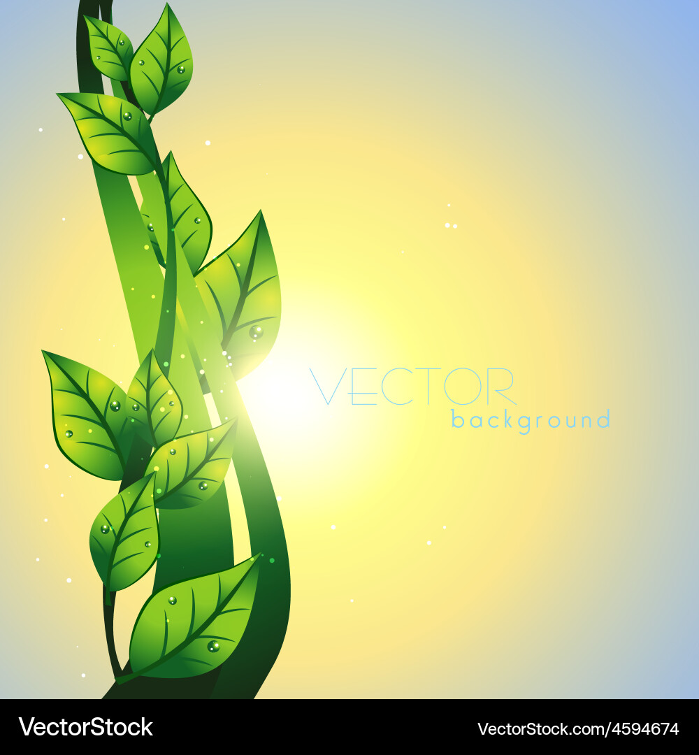 Green leaf Royalty Free Vector Image - VectorStock