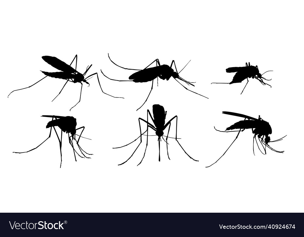Set silhouettes of mosquitoes