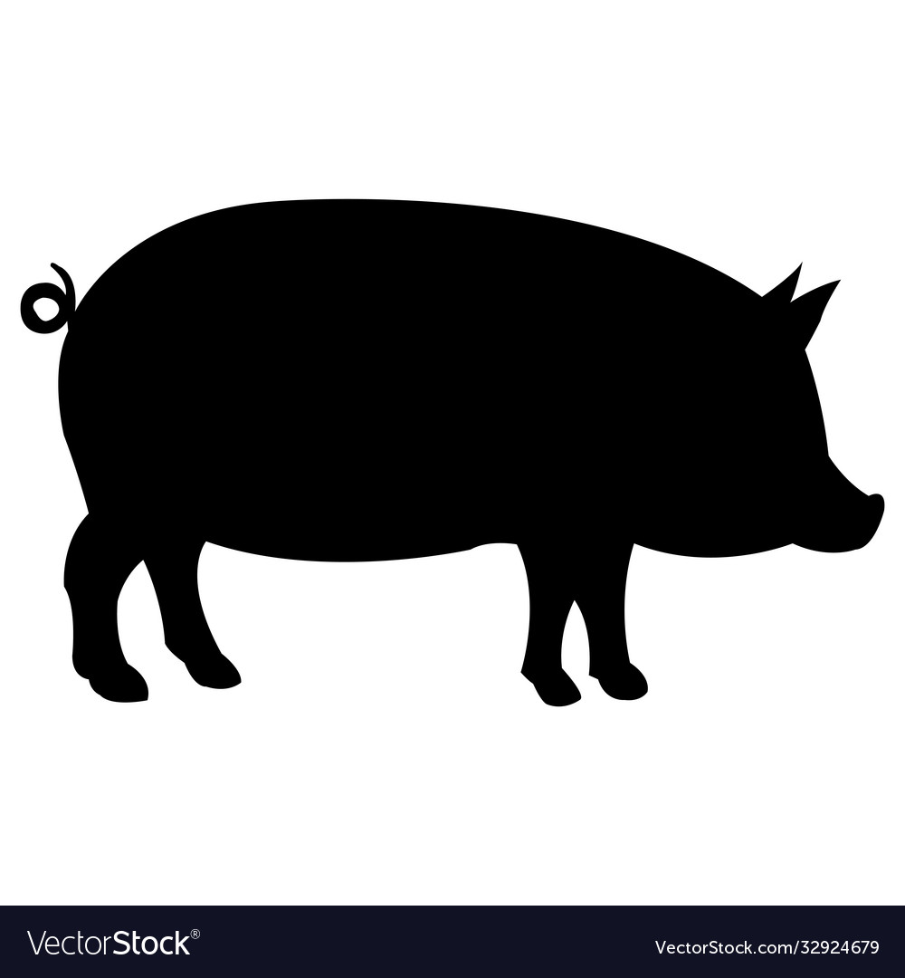 Pig farm animal Royalty Free Vector Image - VectorStock