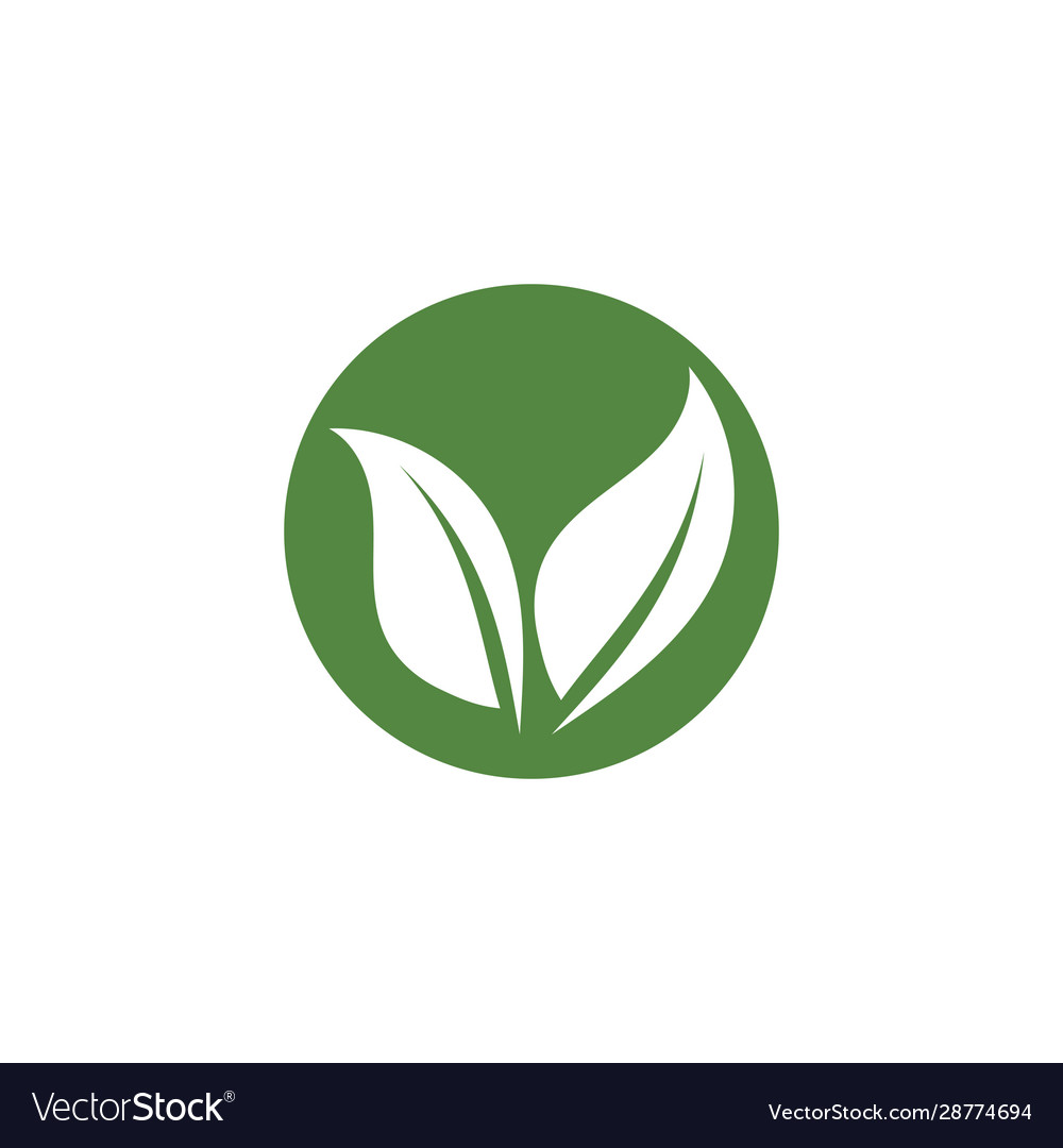 Green leaf ecology nature element Royalty Free Vector Image