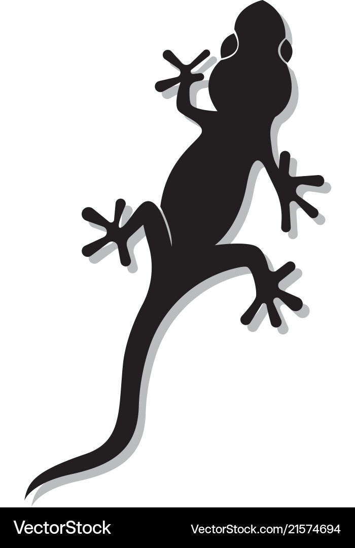 Lizard chameleon gecko silhouette black Royalty Free Vector
