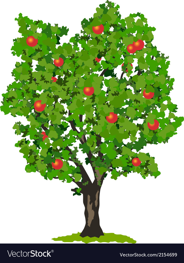 Download Apple tree Royalty Free Vector Image - VectorStock