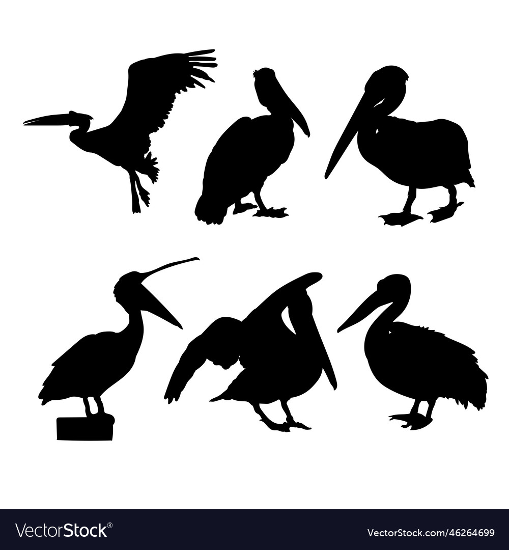 Set of silhouettes pelican design