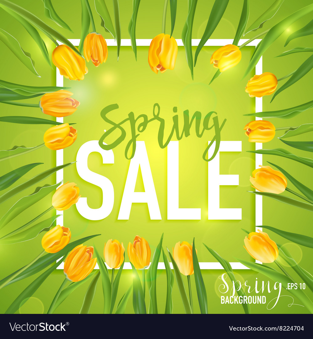 Spring sale banner background big Royalty Free Vector Image