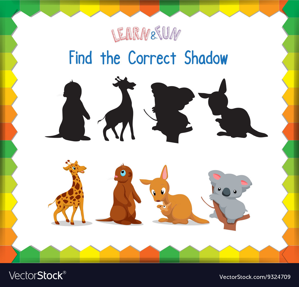 Find the correct animals shadow