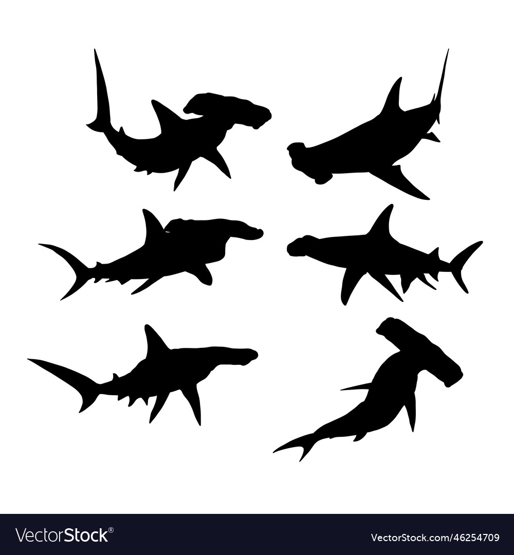 Set of silhouettes hammerhead sharks