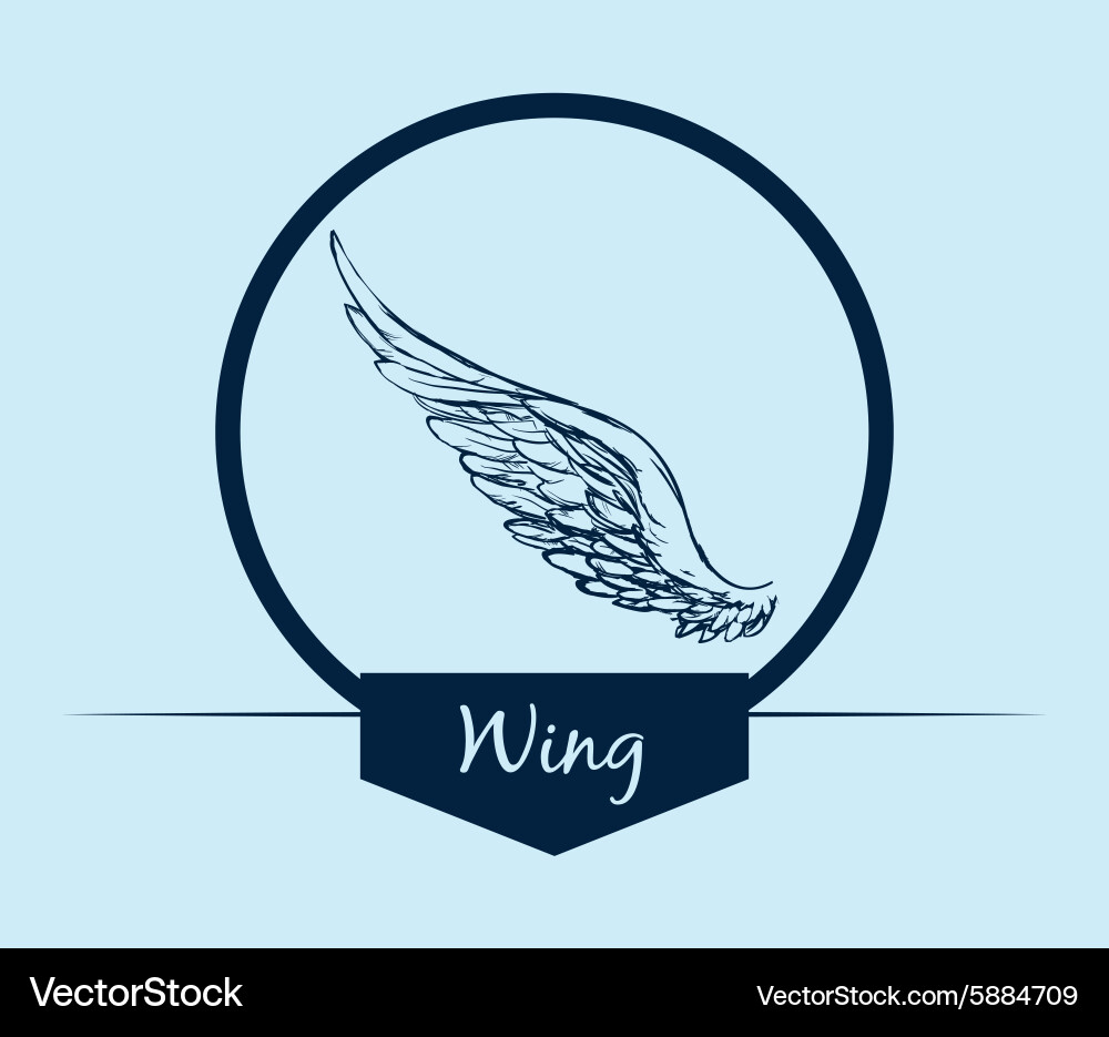 Wing Design Ad Wings design Royalty Free Vector Image - VectorStock