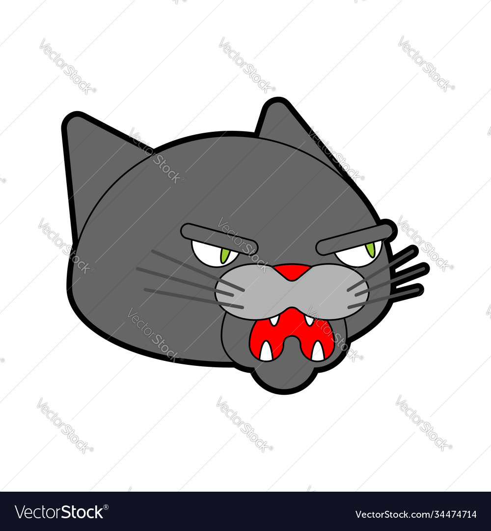 Angry cat face Royalty Free Vector Image - VectorStock