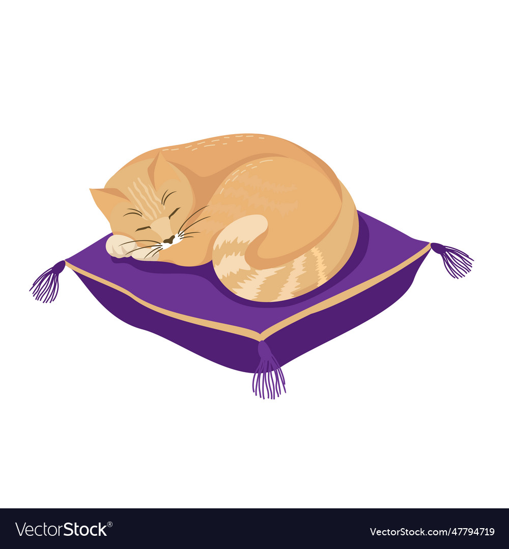 Cat sleep pillow
