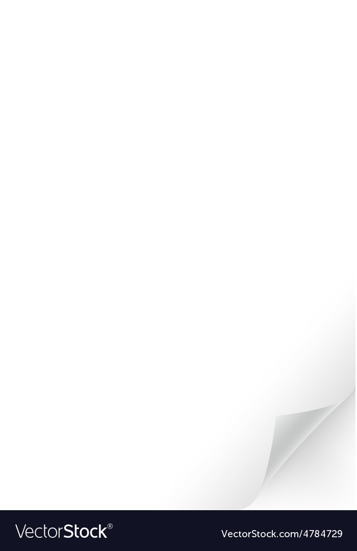 Blank white vertical page Royalty Free Vector Image