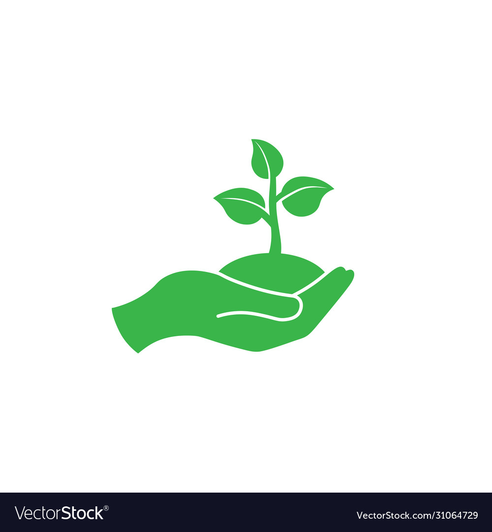 Hand holding seedlings with leaves or palm