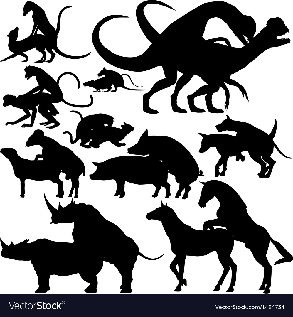 animals-mating-royalty-free-vector-image-vectorstock