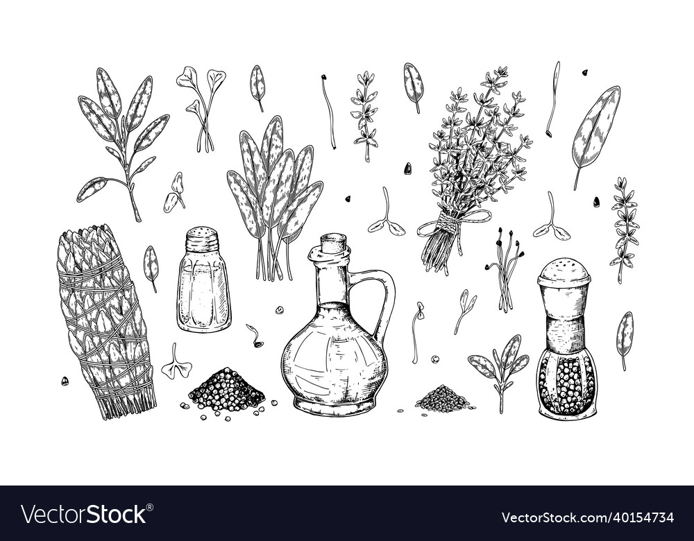 Set of hand drawn herbs and spices design