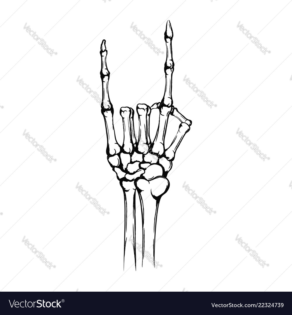 Hand skeleton with raised up forefinger Royalty Free Vector