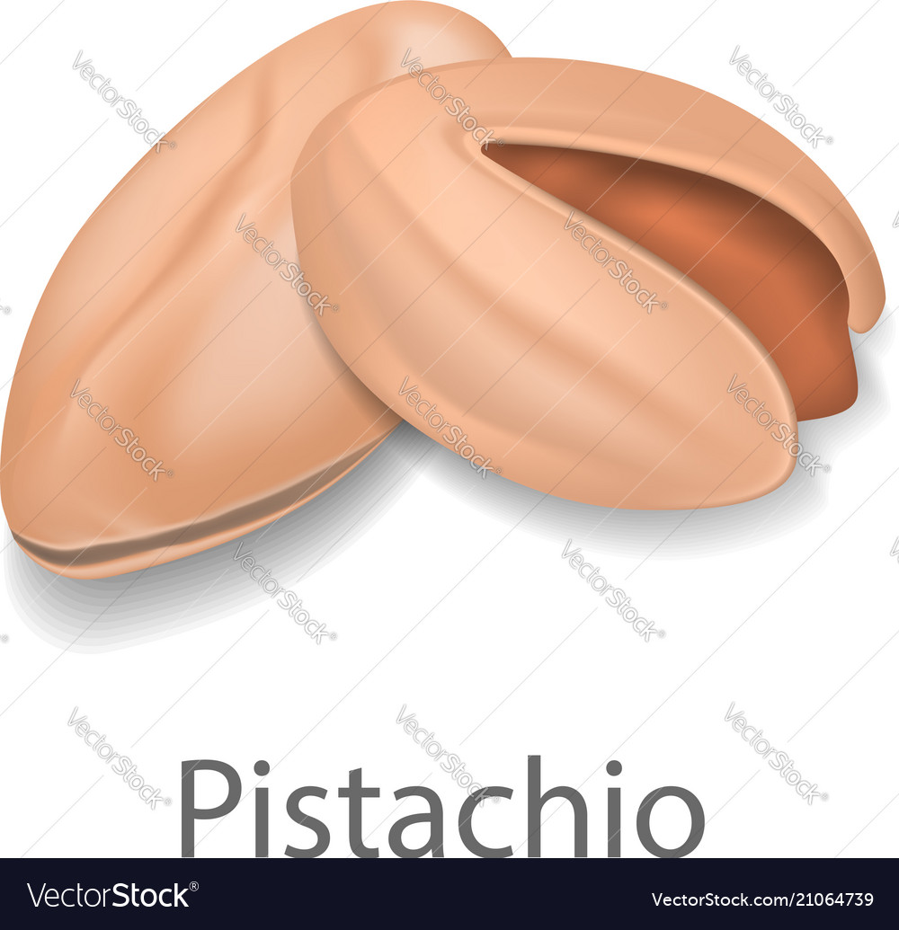 Pistachio mockup realistic style Royalty Free Vector Image