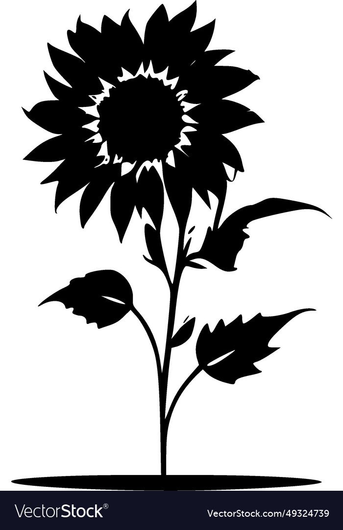 Sunflower - black and white isolated icon Vector Image