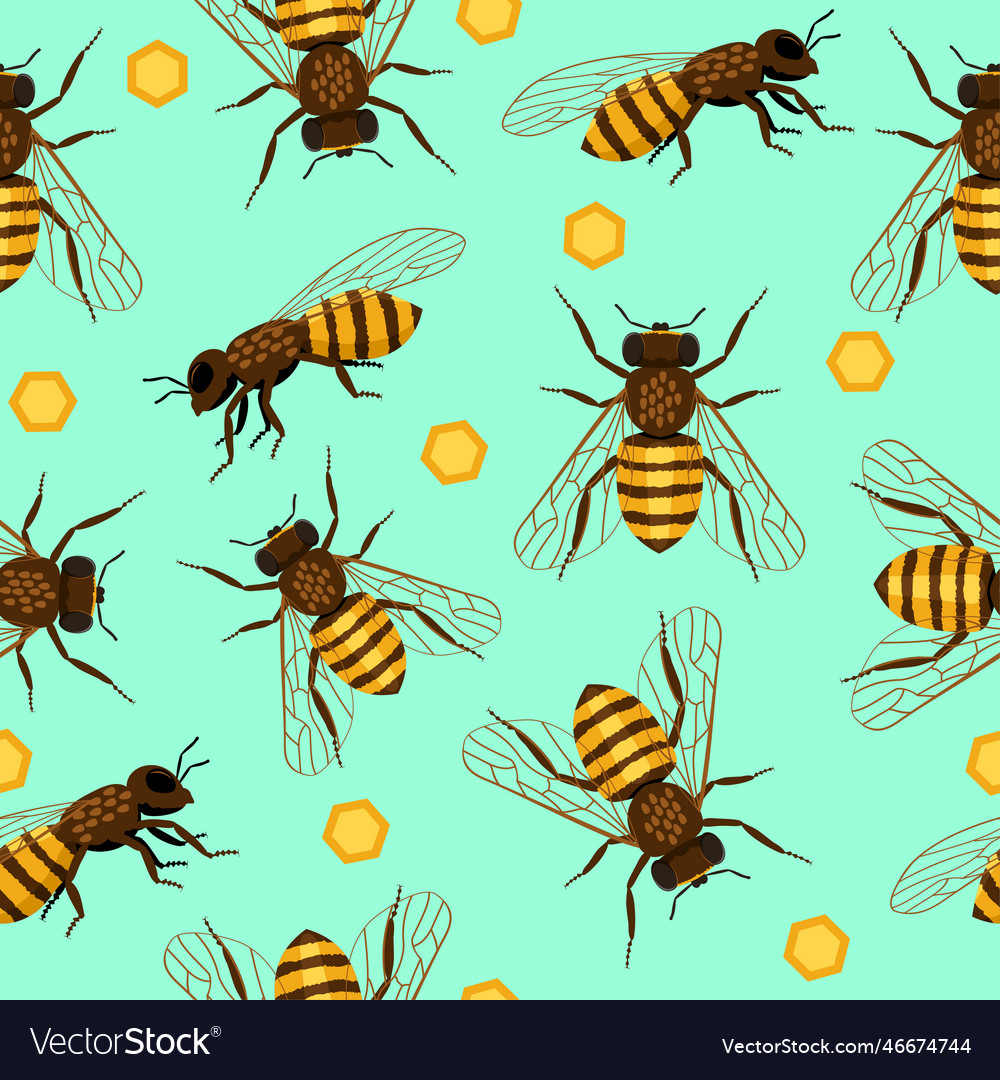 Bee And Honeycomb Seamless Pattern Repeat In Flat Vector Image 2673