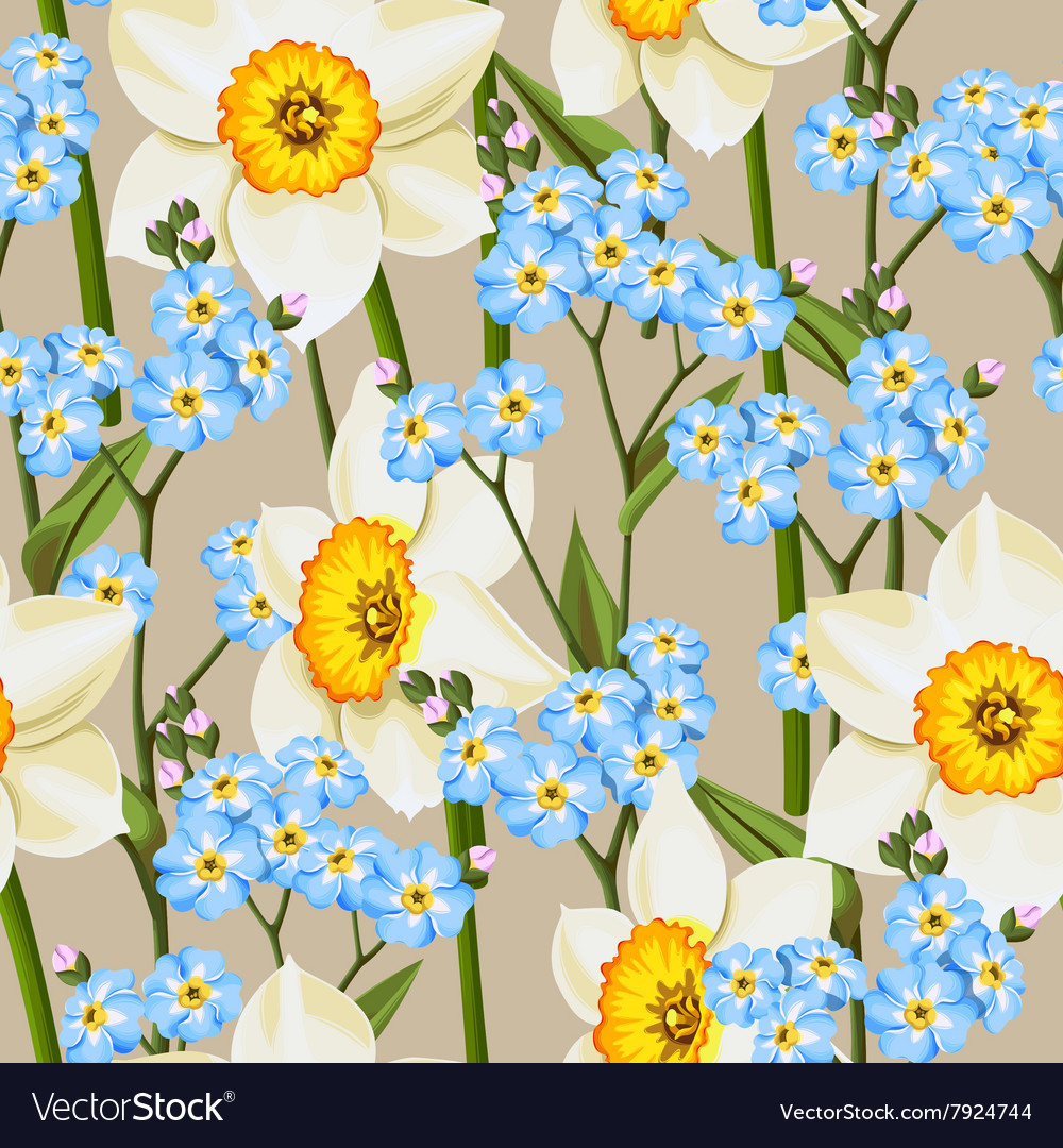 me not and daffodil seamless Royalty Free Vector