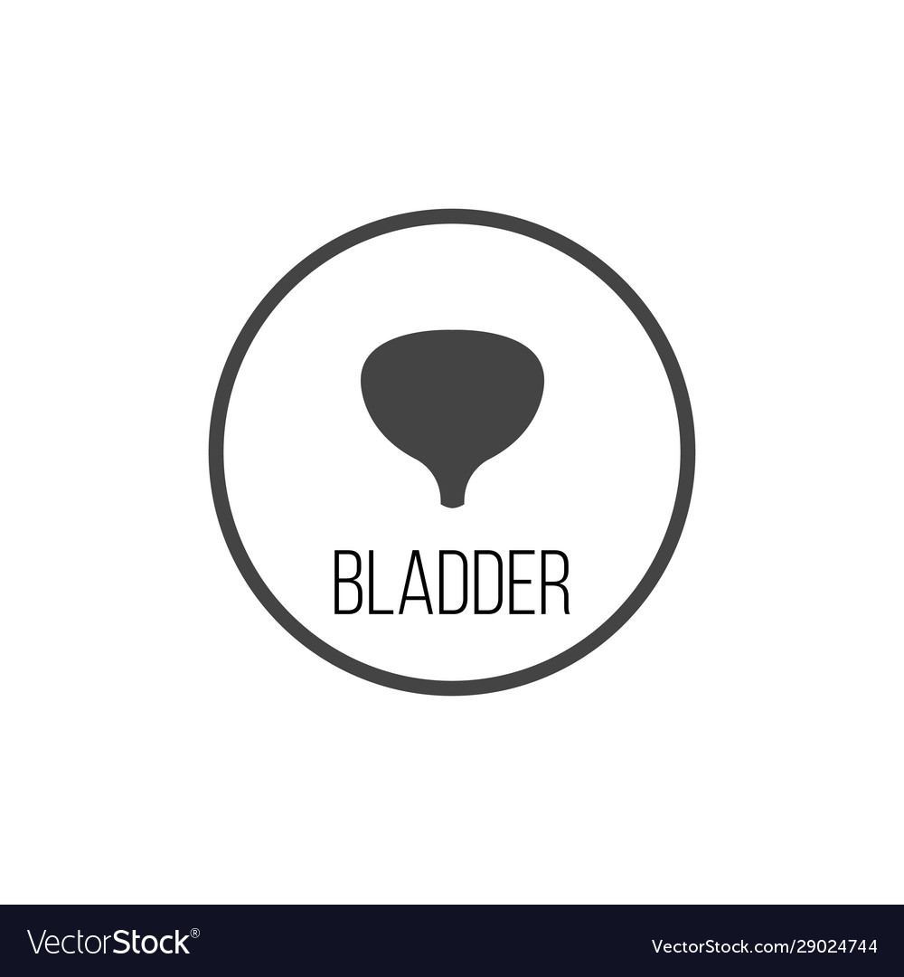 Human bladder icon simple Royalty Free Vector Image