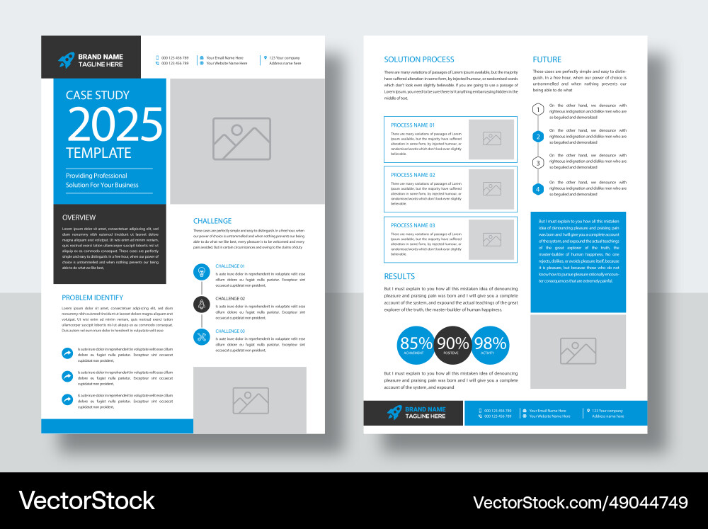 Business case study template image Royalty Free Vector Image