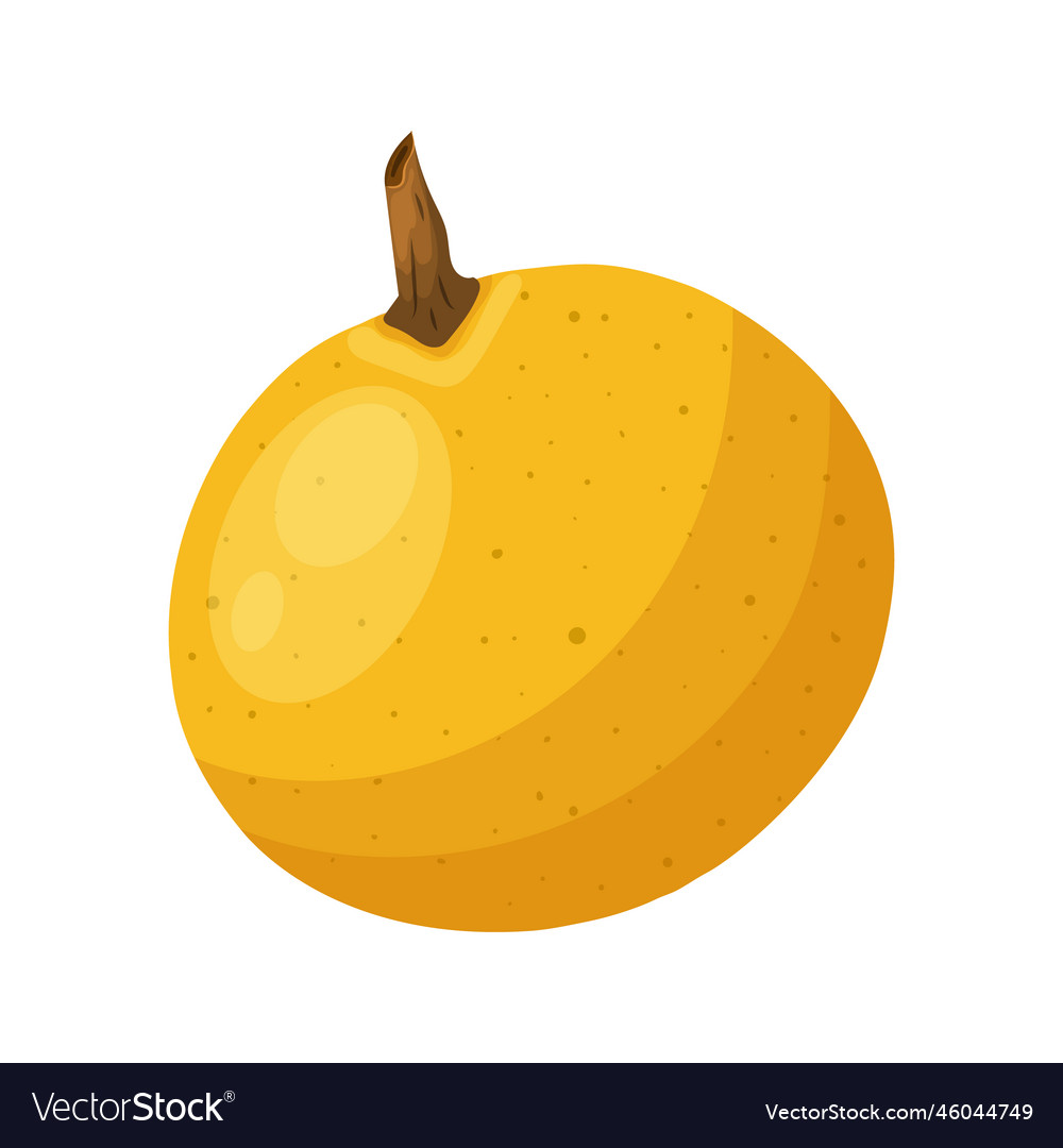 Longan fruit cartoon Royalty Free Vector Image