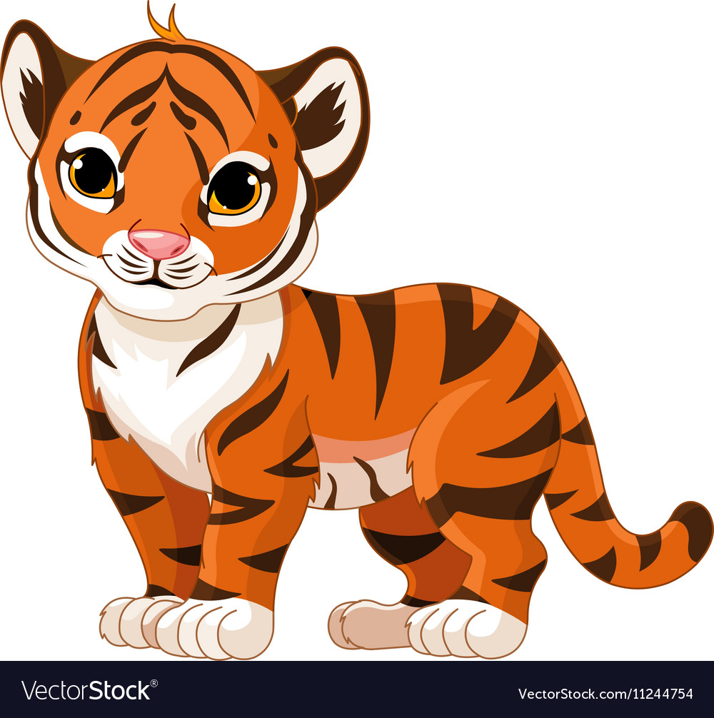 Download Baby Tiger Royalty Free Vector Image - VectorStock