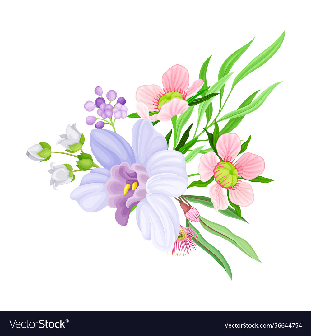 Fragrant orchid bloom with labellum arranged with Vector Image