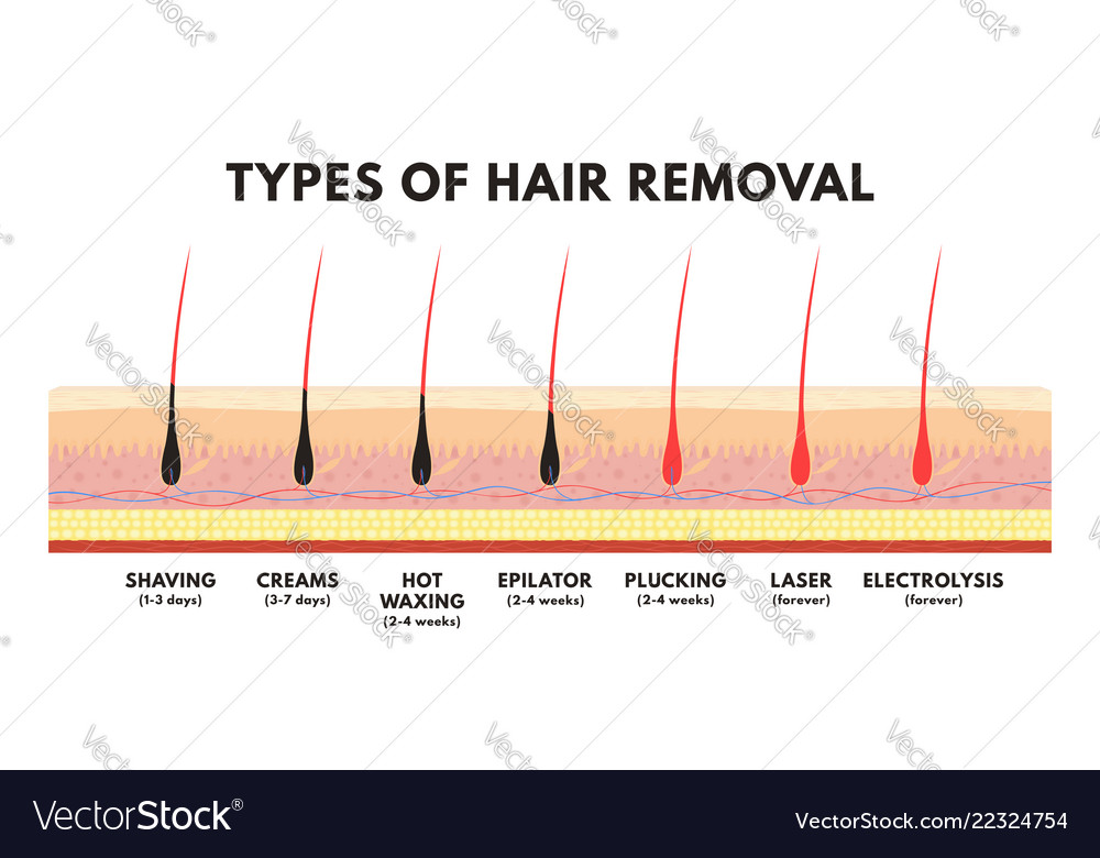 Hair removal concept shaving depilation cream Vector Image