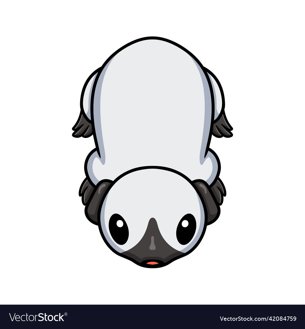 Cute little siamese guinea cartoon