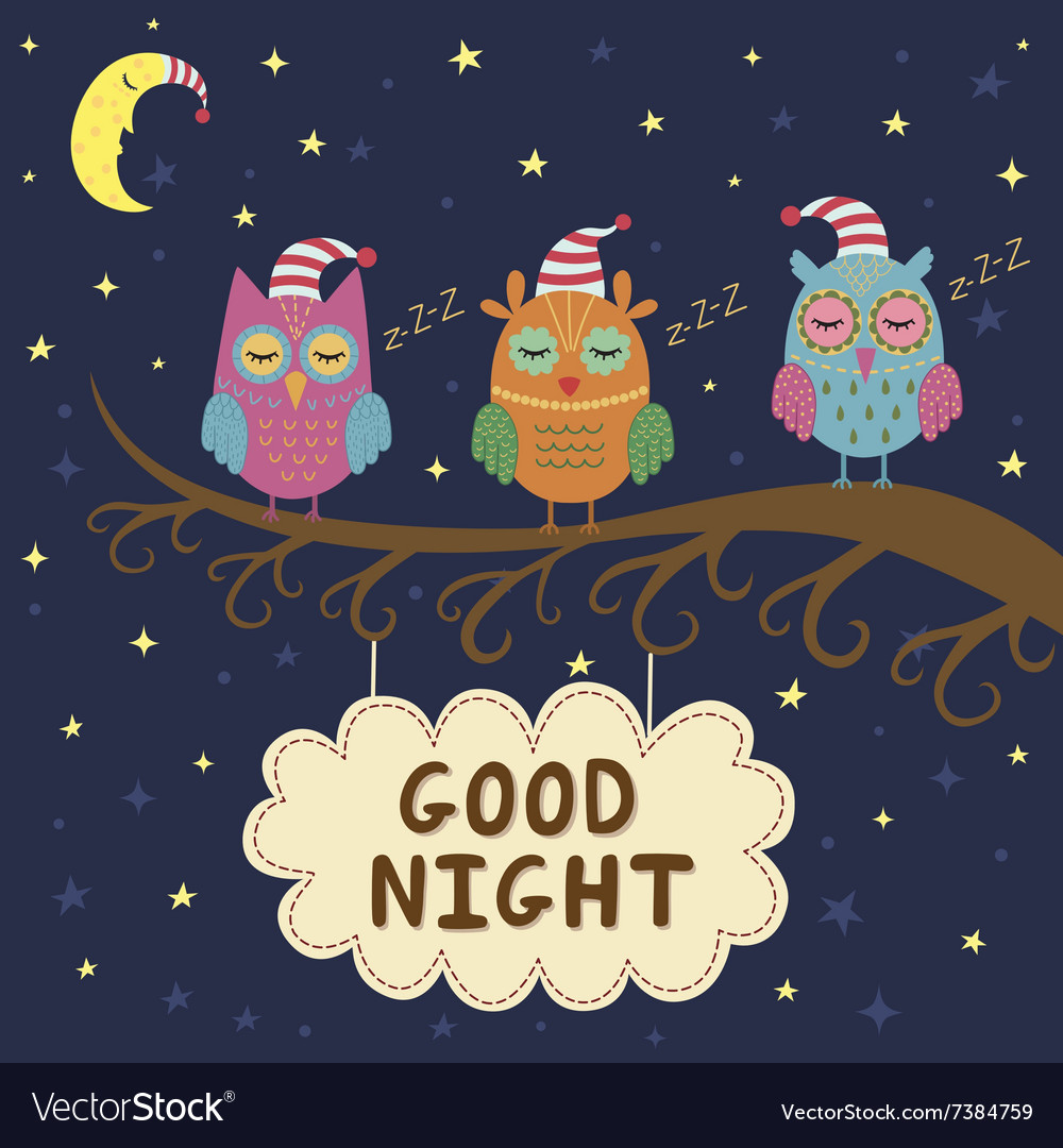 Good night card with cute sleeping owls Royalty Free Vector