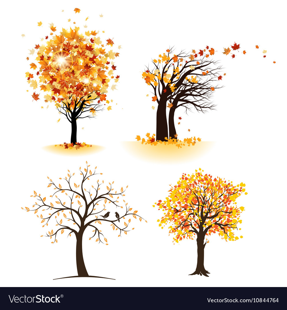 Autumn tree set Royalty Free Vector Image - VectorStock