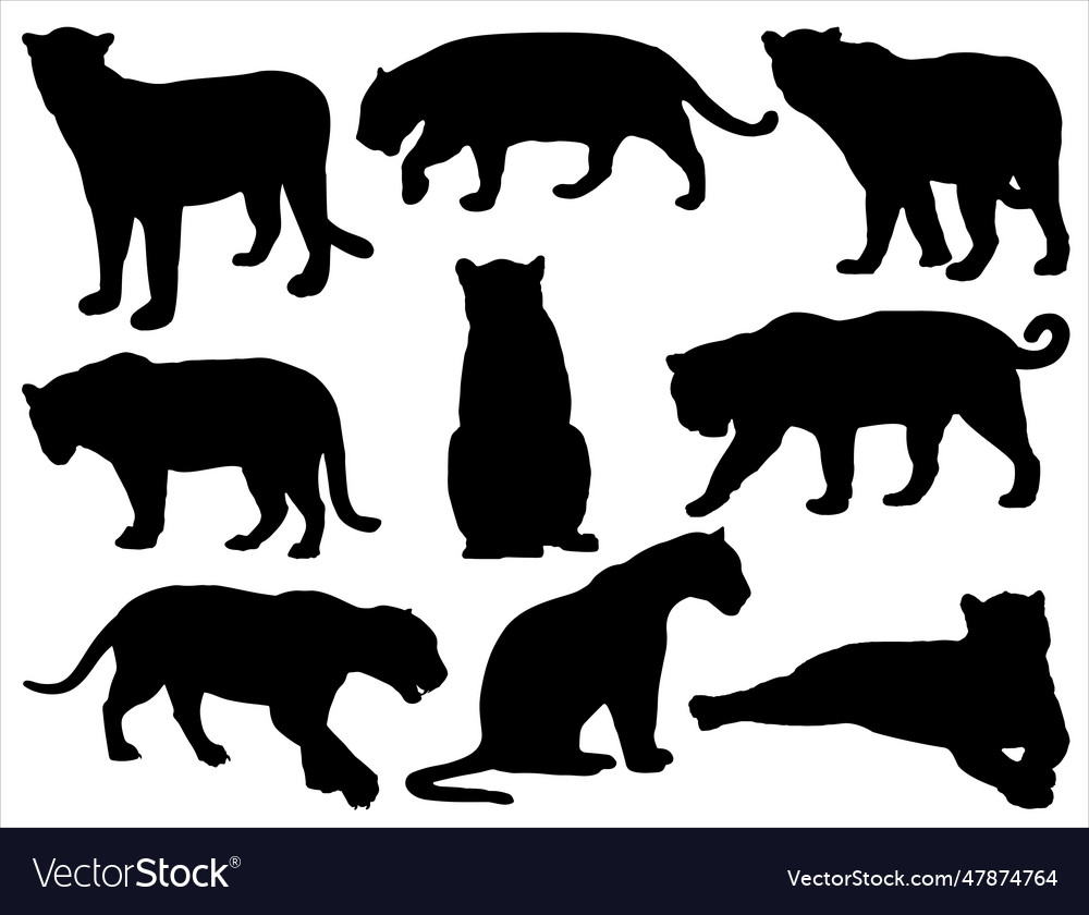 Jaguar silhouette Royalty Free Vector Image - VectorStock