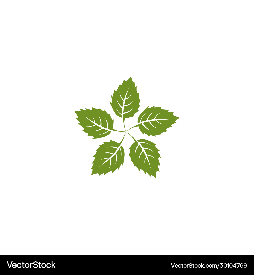 Leaf icon logo design template Royalty Free Vector Image