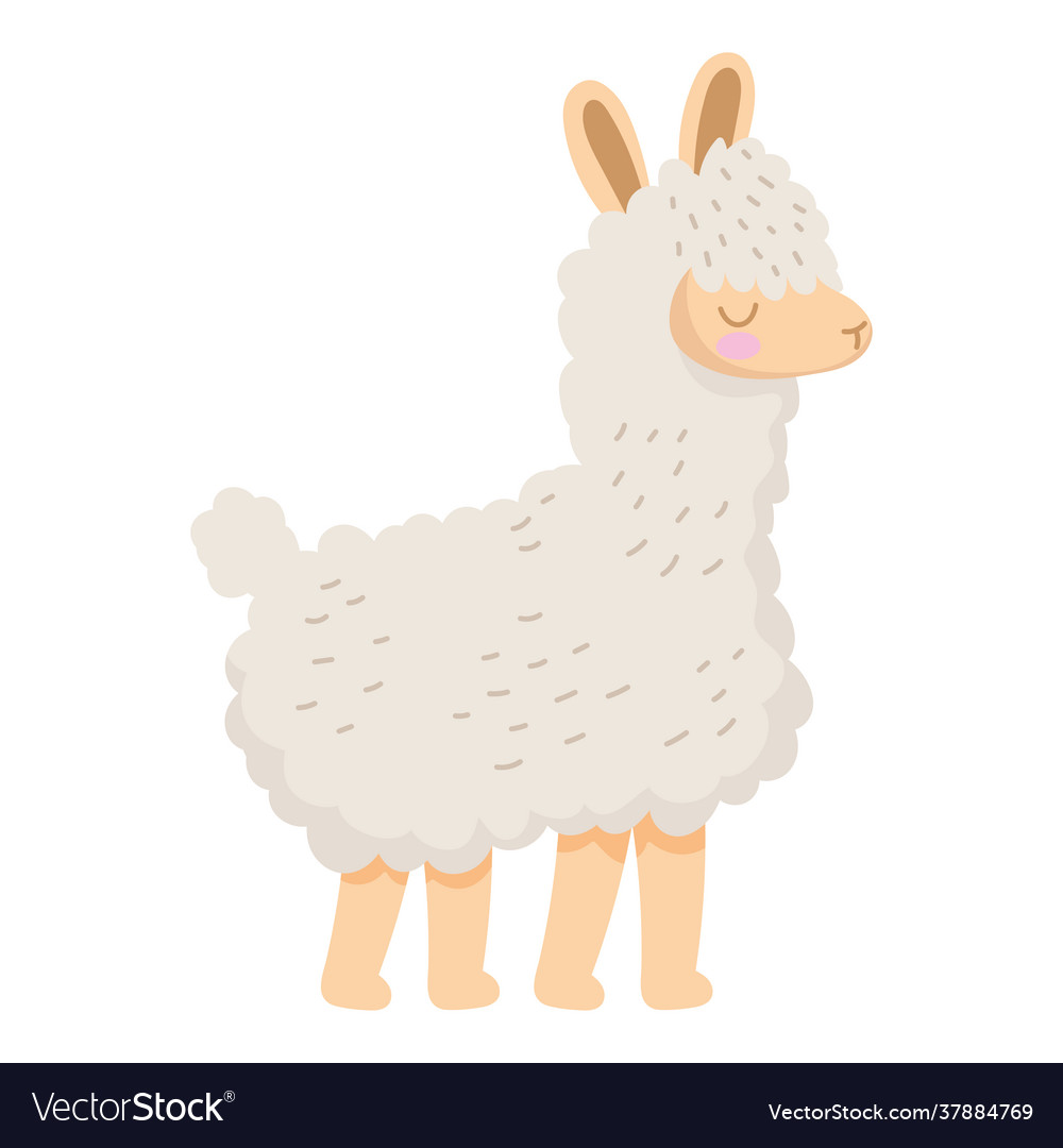 Sheep animal cartoon