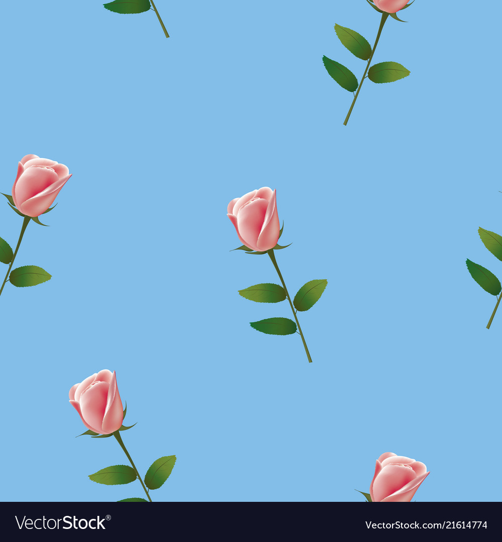 Seamless pattern with pink rose