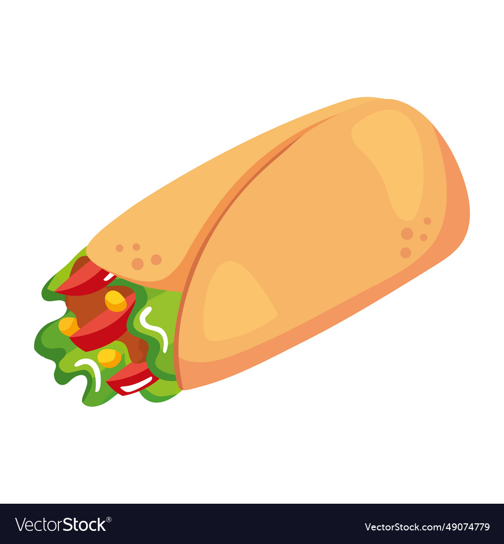 Mexican food burrito Royalty Free Vector Image