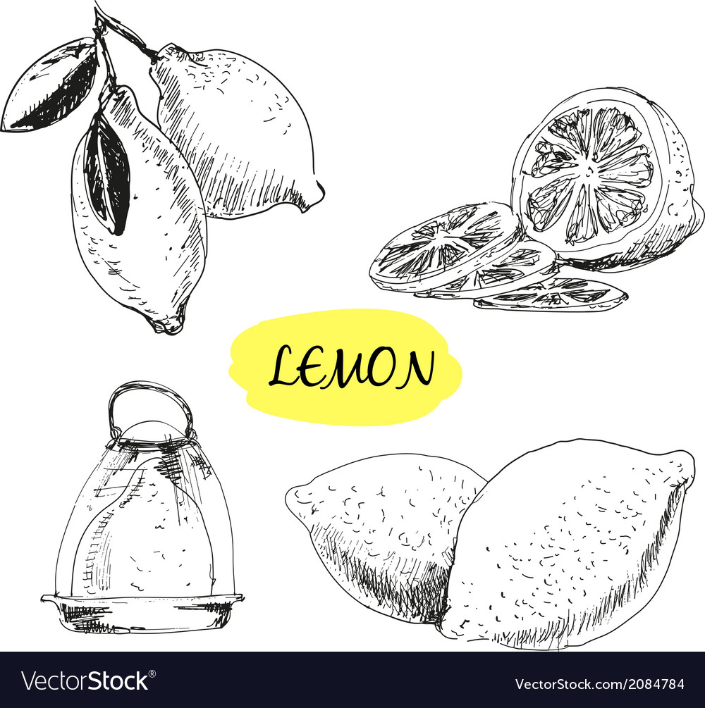 Lemon Royalty Free Vector Image - VectorStock