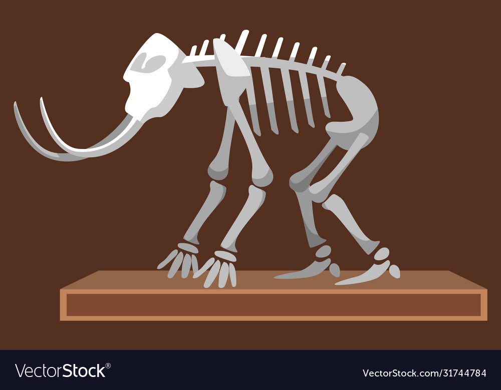 Mastodon at museum mammoth skeleton exhibition