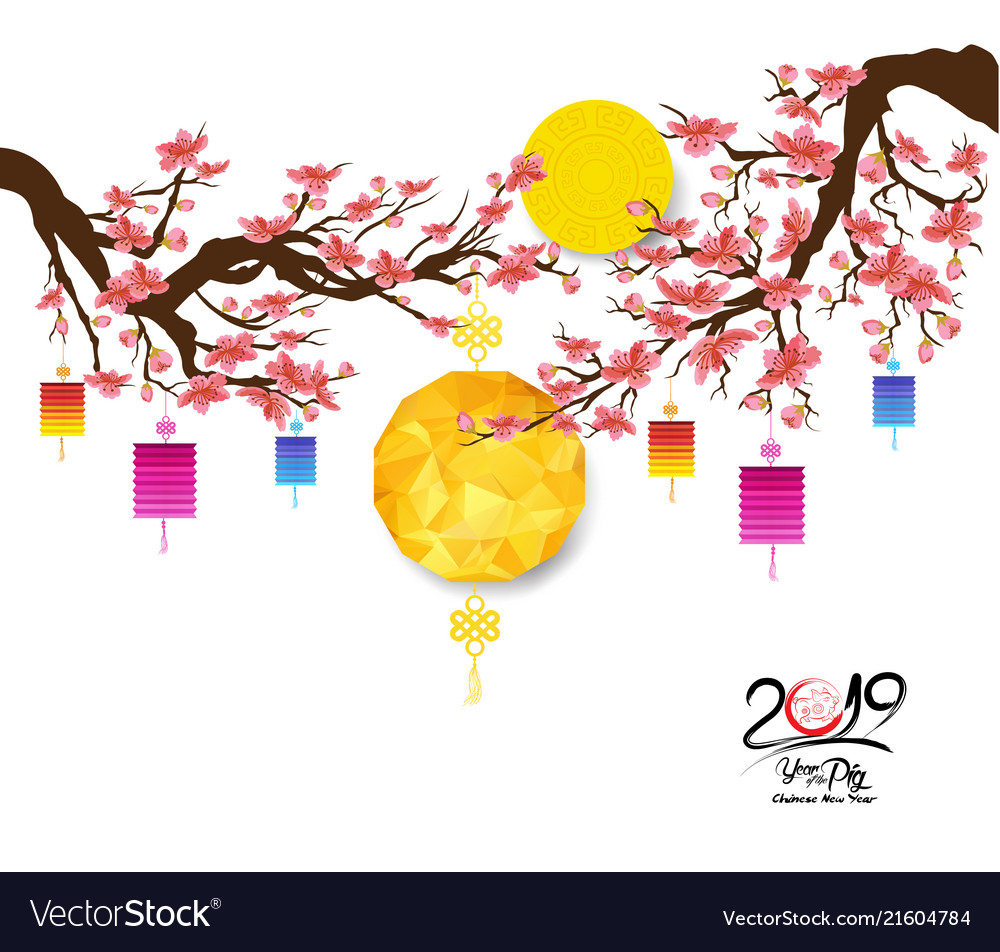 Oriental chinese new year 2019 cherry blossom Vector Image