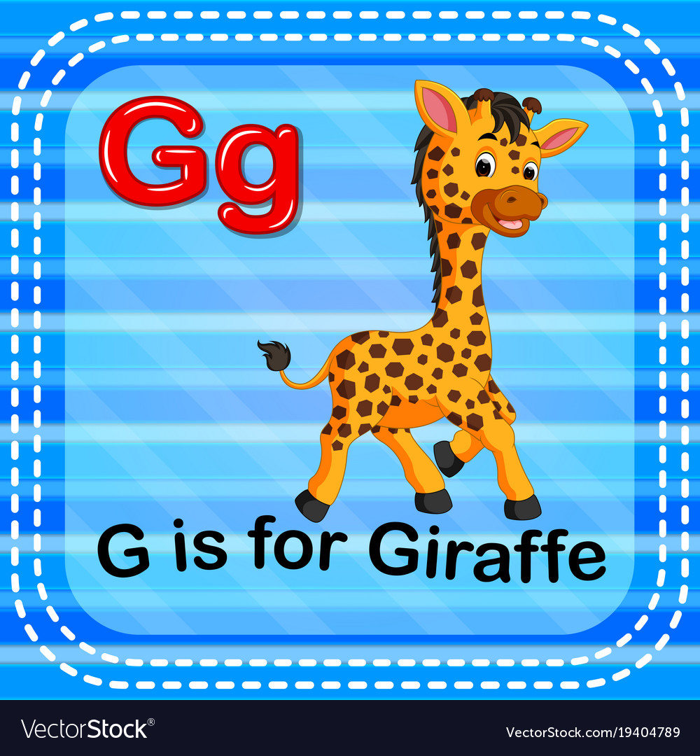 Flashcard letter g is for giraffe Royalty Free Vector Image