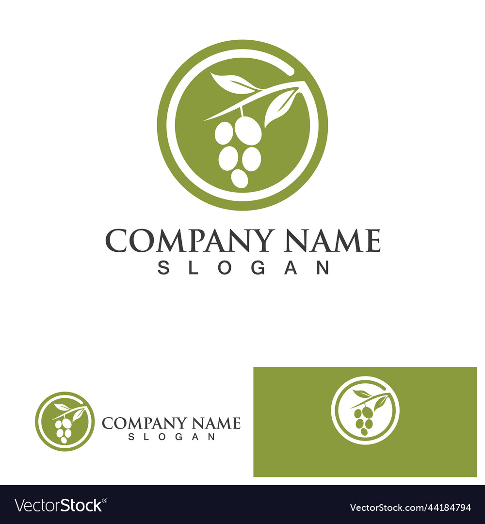 Olive tree logo design template Royalty Free Vector Image