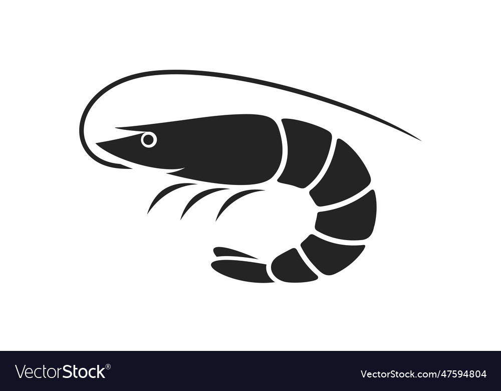 Shrimp Royalty Free Vector Image VectorStock