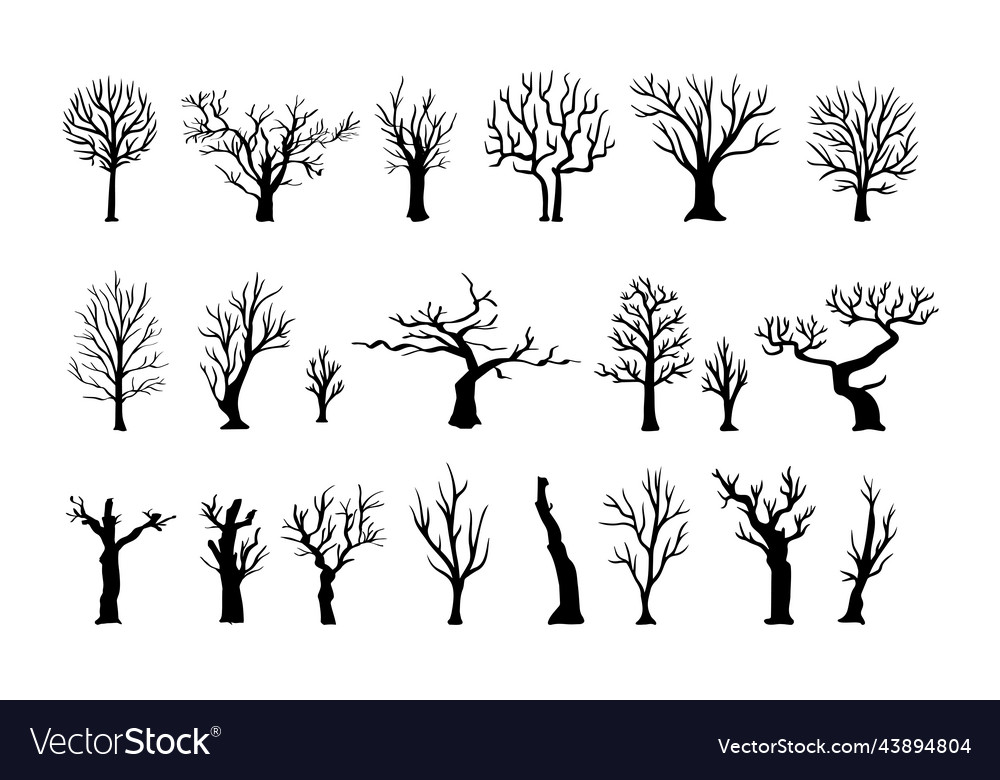 Silhouette dead dry tree set black on white