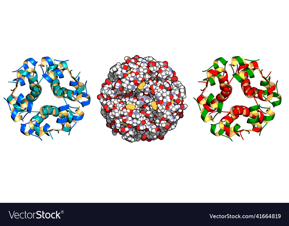 Insulin Peptidhormon chemische Struktur