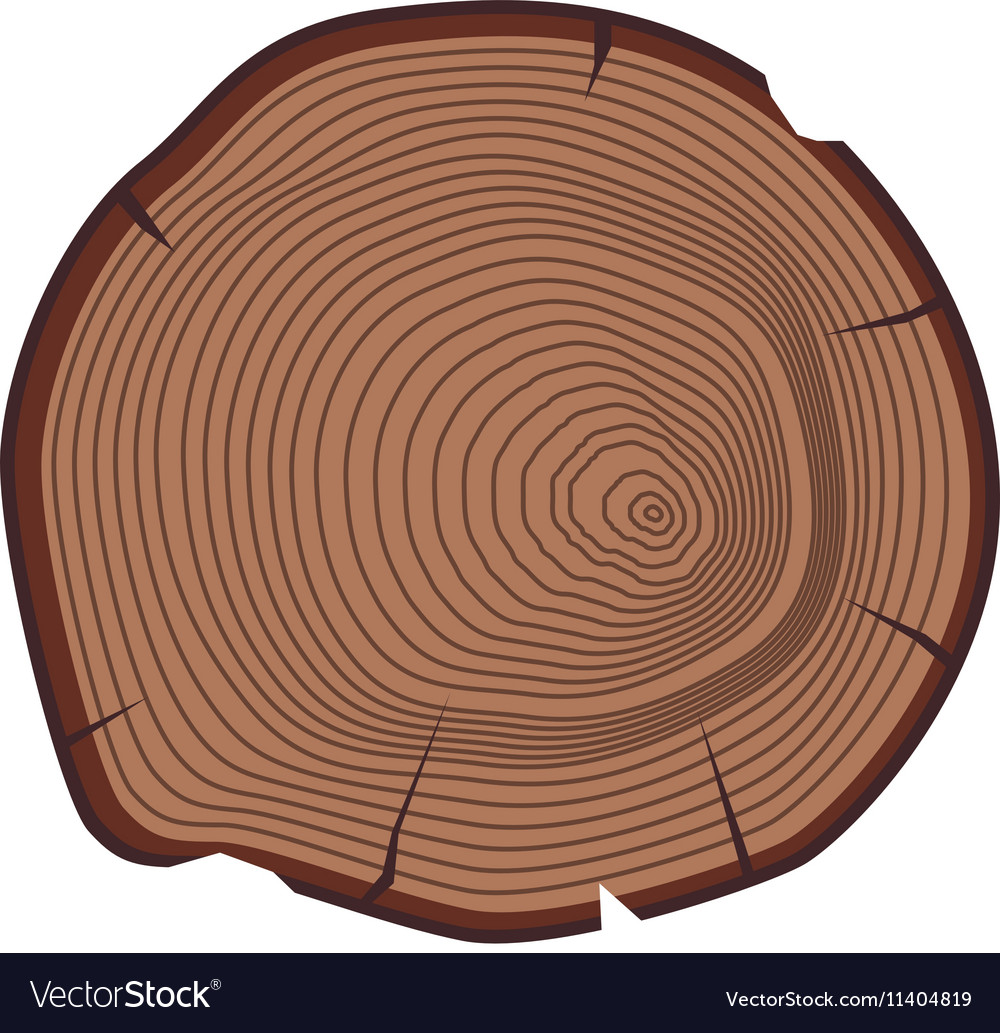 Tree slices isolated