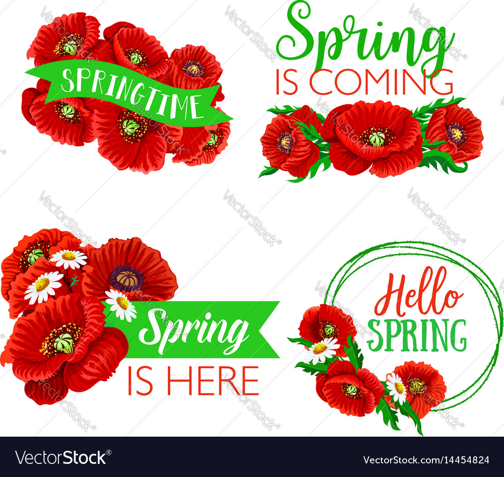 VectorStock
